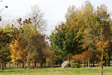 Jardin public en automne