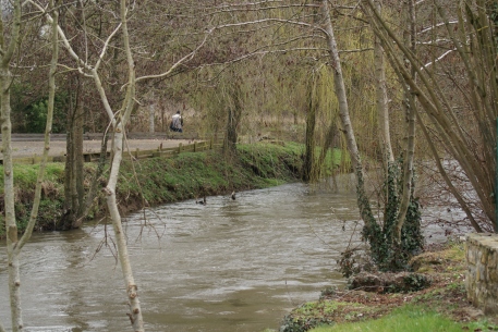 Pêche au camping